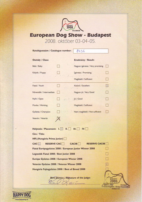 Amor Eurodog show 2008