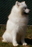 21.01.2008.