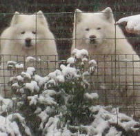 2007.