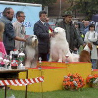 2007.