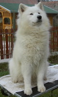 2007.